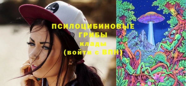 ECSTASY Покров
