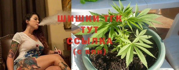 ECSTASY Покров